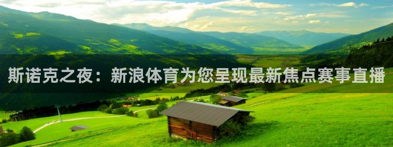咪咕体育视频直播官网：斯诺克之夜：新浪体育为您呈现最新焦点赛事直播