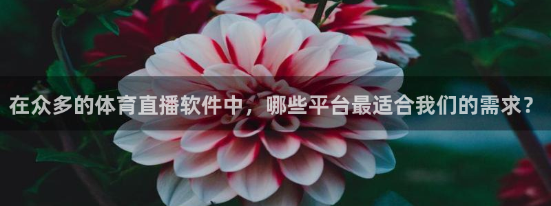 咪咕视频app下载：在众多的体育直播软件中，哪些平台最适合我们的需求？