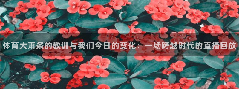 咪咕体育免费直播在线观看：体育大萧条的教训与我们今日的变化：一场跨越时代的直播回放