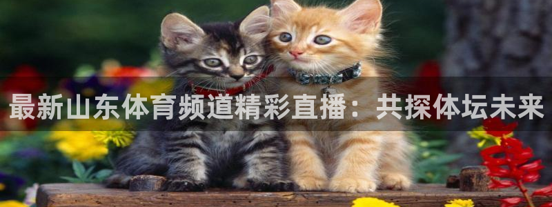 咪咕体育录像回放